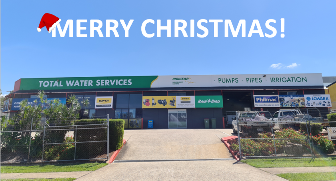 Merry Christmas! Merry Christmas!